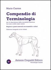 nwdj_Libro Compendio Terminologia edintegr