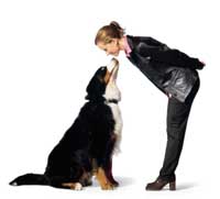 Dogs can ‘smell’ bladder cancer