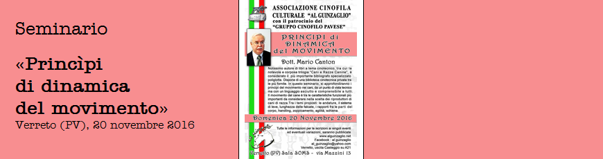 Seminario sui princìpi del movimento – Verretto (PV), 20 novembre 2016