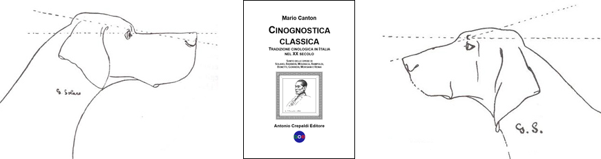 Cinognostica classica. Tradizione cinologica in Italia del XX secolo.