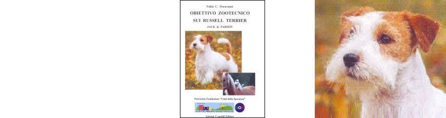 Obiettivo zootecnico sui Russell Terrier: Jack & Parson