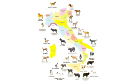Gruppi etnici canini autoctoni italiani