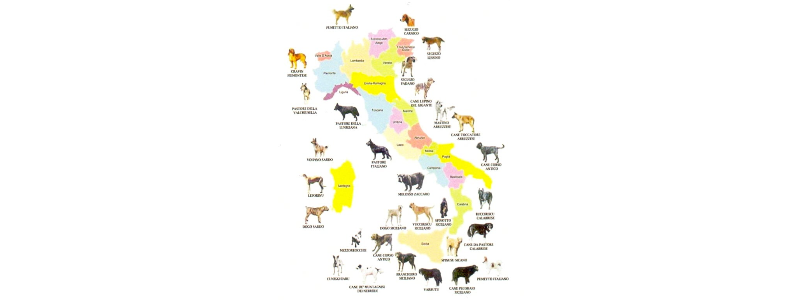 Gruppi etnici canini autoctoni italiani